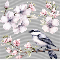 Animal Integration-DW 2172